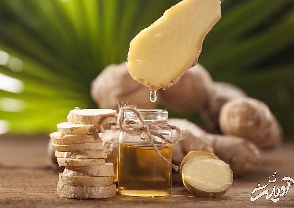 از بین بردن تبخال لب با روغن زنجبیل روغن زنجبیل